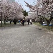 hana