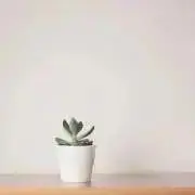 さきの画像