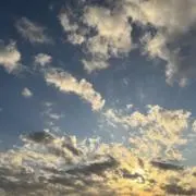 sakuramilkの画像