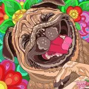 ♡SFK♡の画像