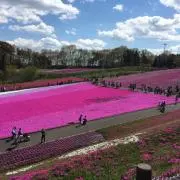 humちゃんの画像