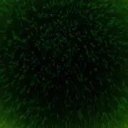 sngkun
