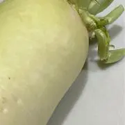 Purpleの画像