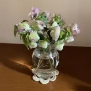 mamemameの画像