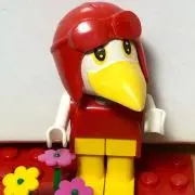 マルちゃんの画像