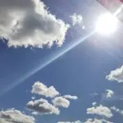 Yの画像