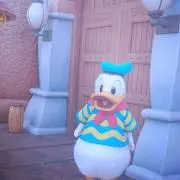 pom☆の画像