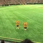 T boyの画像