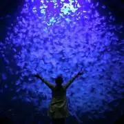 すまいるの画像