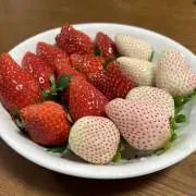 きるともの画像