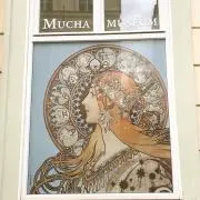 稀花の画像