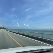 ヴェルの画像