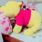 ゆなめろの画像