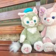 ゆの画像