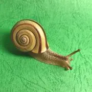 なお(断捨離始めました)の画像