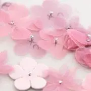 とまとま7の画像