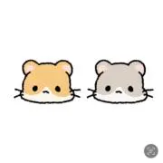 ちいの画像