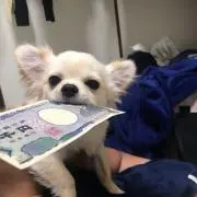 CoCo°*.(♡˙︶˙♡).*°