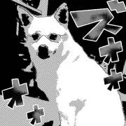 こう