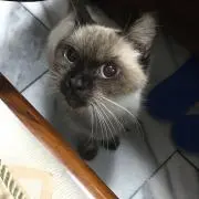 毎日晴れる