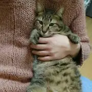 ゆにゃにゃ