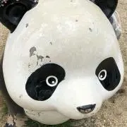 pen♡の画像
