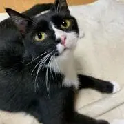 たみさんの画像