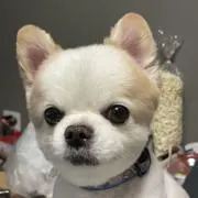みー