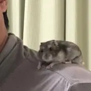 かりん＆りょう