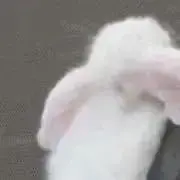 Yuの画像