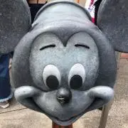 SKYの画像