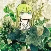 ひらの画像