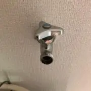 まとの画像