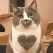Siloの画像