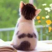 あっこ☆