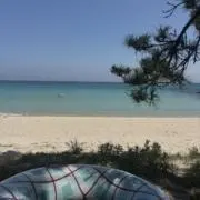 coroの画像