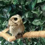 むい✱プロフ閲覧お願いします^^*