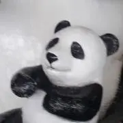 みぽ　プロフ必読願いますの画像