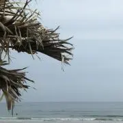 seaプロフ必読。゜*⋈の画像