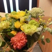 yunshop⭐︎の画像