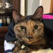 Image of Mimi