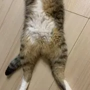 yukkyの画像