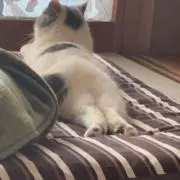 kさんの画像