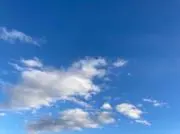ららみの画像