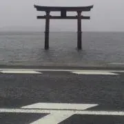 ぶう