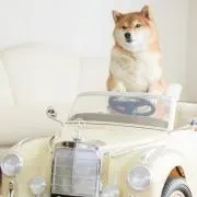 キノ