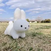 空色