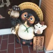 tanukingの画像