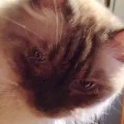 もえみ