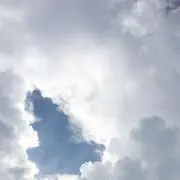 まこさんの画像